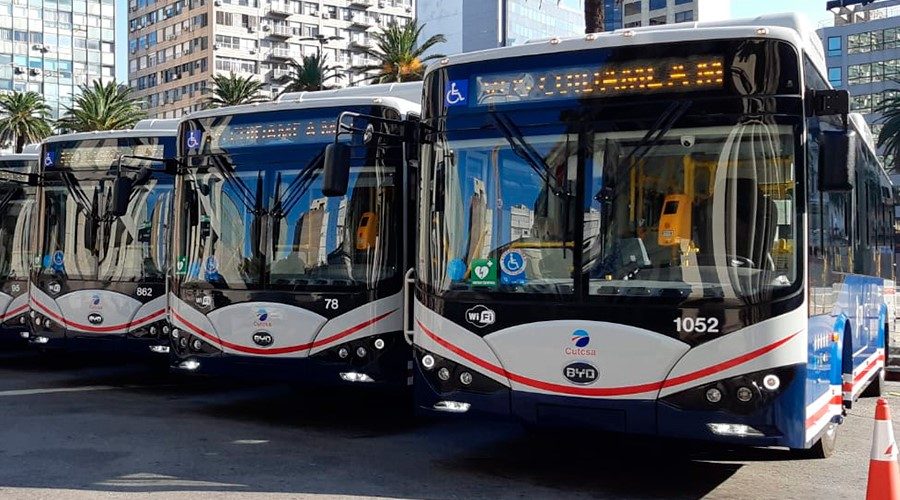 Colectivos de transporte